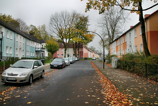 Letterhausstraße (Waltrop) / 2.11.2017