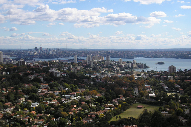 Sydney Harbour From Bondi Junction