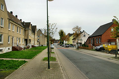 Kreisstraße (Lünen-Niederaden) / 27.10.2019