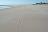 Footprints On Cable Beach