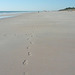 Footprints On Cable Beach