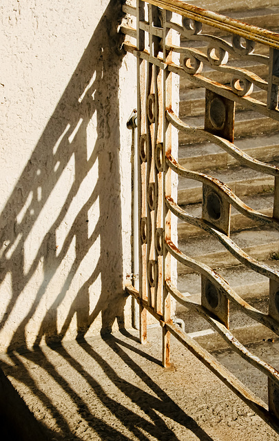 A Fence for Friday