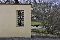 HWW ... with this half wall in front of the museum Kampa in Prague (© Buelipix)