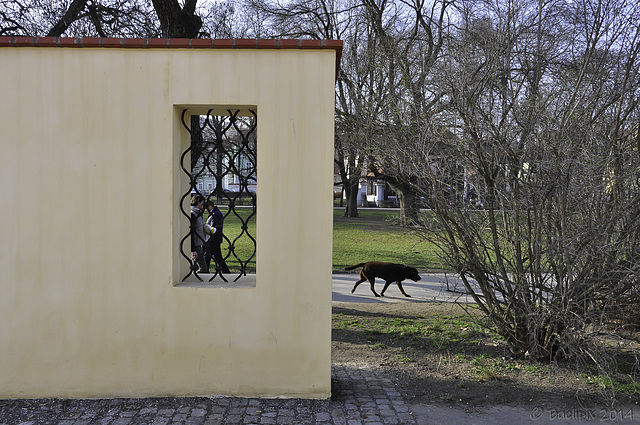 HWW ... with this half wall in front of the museum Kampa in Prague (© Buelipix)