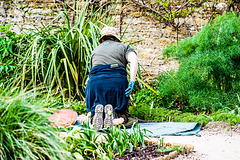 The Gardener