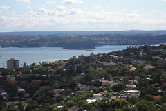 Sydney Harbour From Bondi Junction