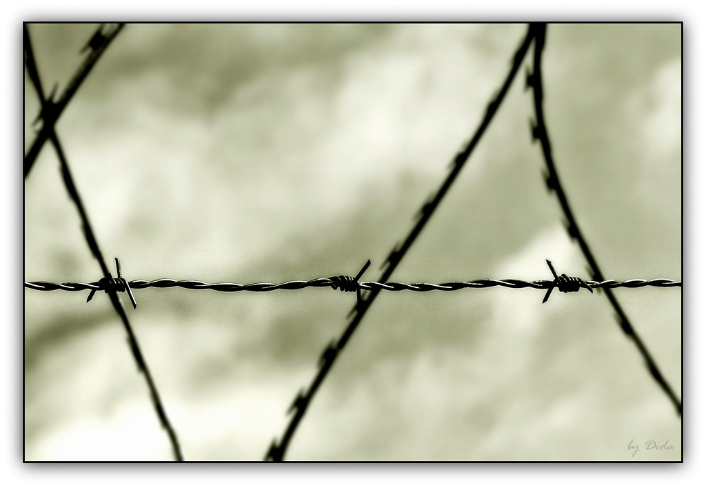 Barbed Wire vs. Razor Wire