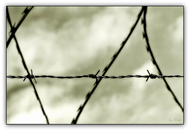 Barbed Wire vs. Razor Wire