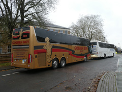 Golden Boy GB18 BOY in Bury St. Edmunds - 23 Nov 2019 (P1050945)