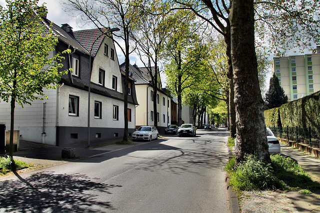 Grüner Weg (Bochum-Harpen) / 27.04.2024