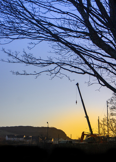 Crane at Sunrise