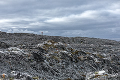 Hamningberg
