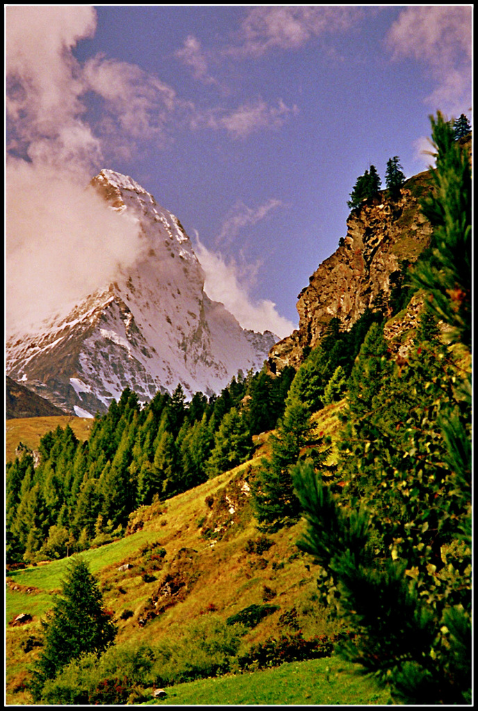 Cervin Suisse