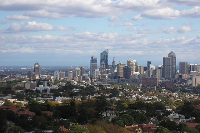 Sydney Skyline From Bondi Junction