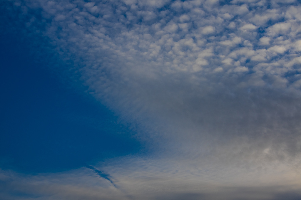 Tonight's Sky