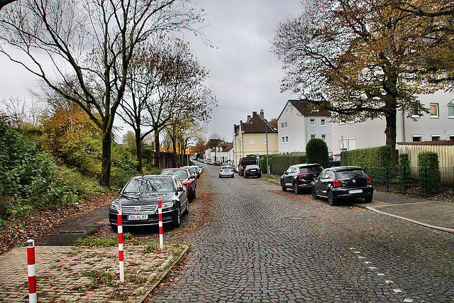 Verkehrsstraße (Bochum-Hofstede) / 11.11.2023