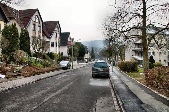 Niedernhofstraße (Hagen-Boele) / 3.03.2018