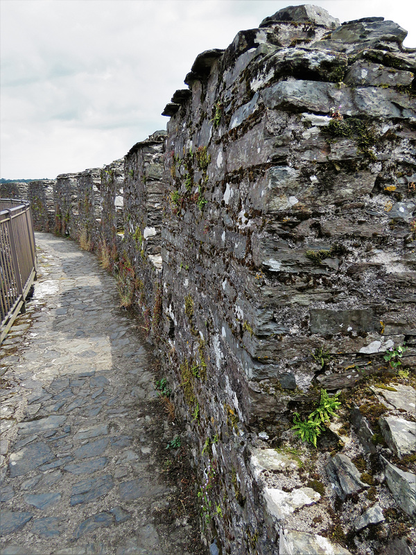 restormel castle, cornwall (6)