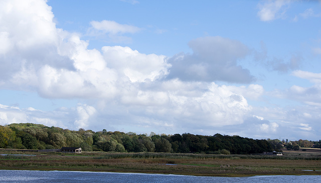 View to from the bird hide