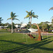 Palm Trees At Cable Beach