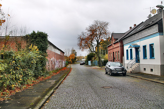 Verkehrsstraße (Bochum-Hofstede) / 11.11.2023