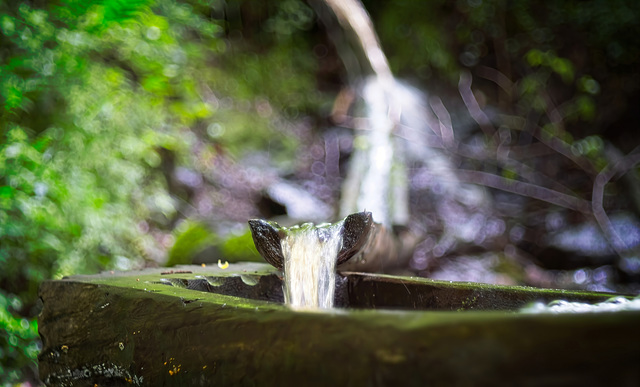 Das Wasser aus der Natur findet seinen Weg in den Wassertrog :))  The water from nature finds its way into the water trough :))  L'eau de la nature se retrouve dans l'abreuvoir :))