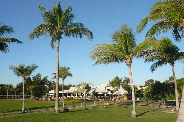 Palm Trees At Cable Beach