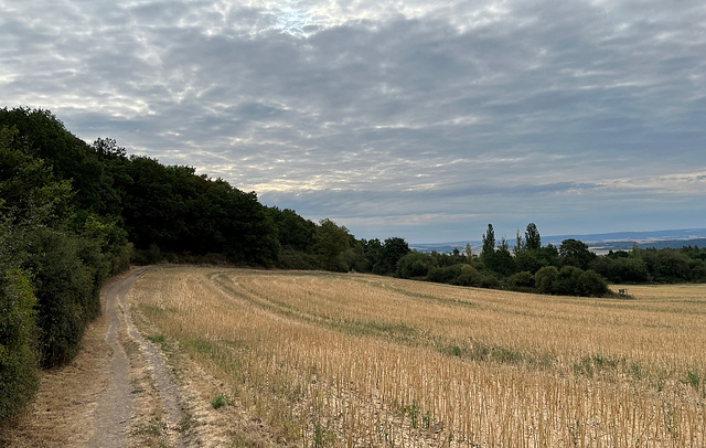 DE - Ettringen - Auf dem Vulkanpfad