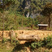 La campagne du Laos enchanteur / Laos countryside