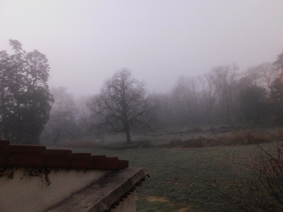 Un matin brumeux au Parc du Bosquet devant mes fenêtres***********