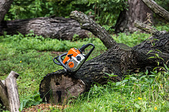 20160812 2134VRAw [D~ST] Kunst am Baum, Zoo Rheine