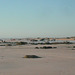 4x4s On Cable Beach