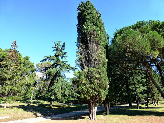 HR - Brijuni - Mediterraner Garten