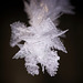 Wie scharf diese Eiskristalle sein können :))  How sharp these ice crystals can be :)) Comment ces cristaux de glace peuvent être tranchants :))
