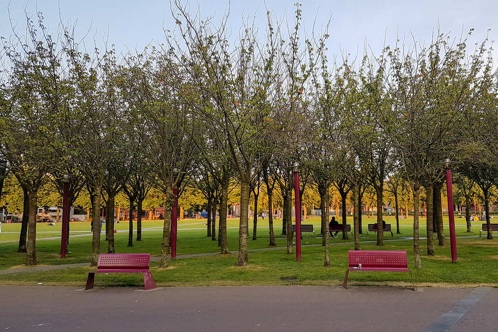 Niederlande - Amsterdam - Museumplein