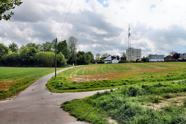 Weg auf dem Kornharpener Feld (Bochum-Harpen) / 27.04.2024