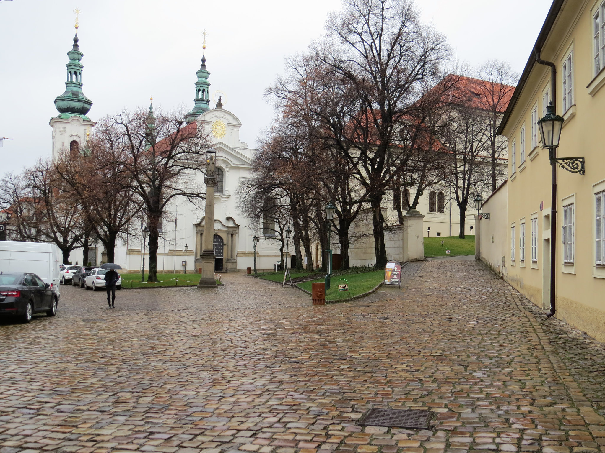 IMG 7855