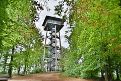 Aalbäumle Aussichtsturm