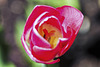 2018-05-20-DSC 0021-Modifier-Modifier-Modifier-2
