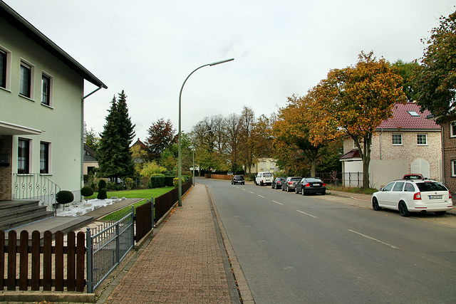 Im Dorf (Lünen-Niederaden) / 27.10.2019