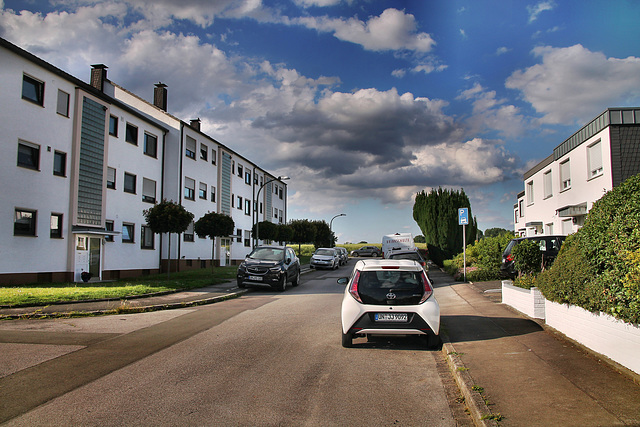 Bredde (Fröndenberg-Ardey) / 11.06.2022