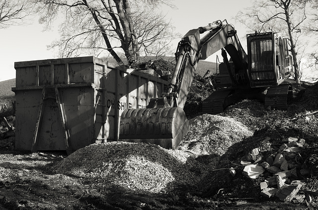 Land management at Lyme Park