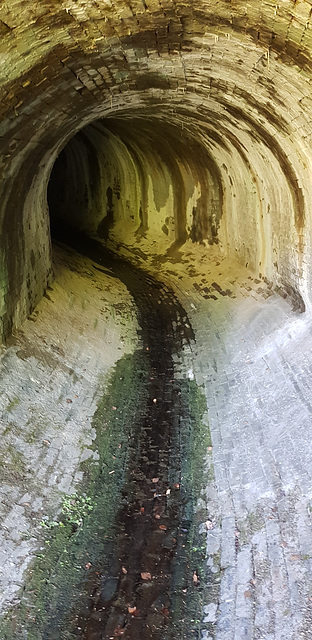 Gellifelen Culvert