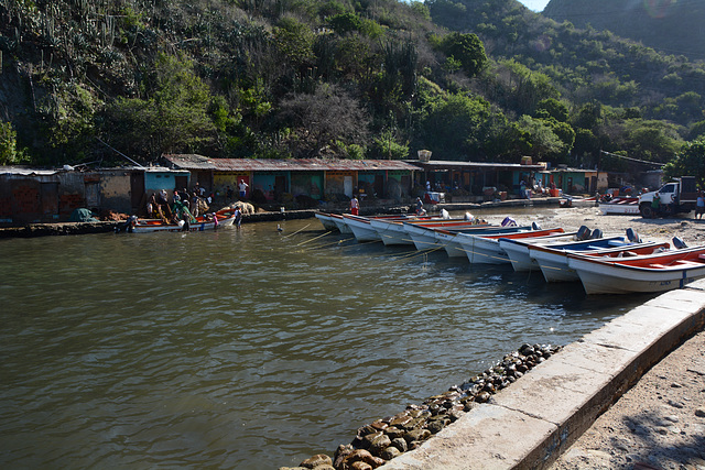 Venezuela, Puerto Colombia Fishing Port Venezuela, Puerto Colombia Fishing Port