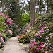 Rhododendronpark Gristede