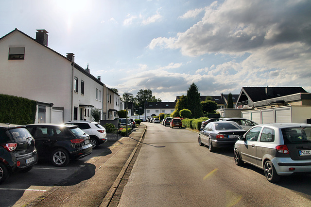 Zum Siepen (Fröndenberg-Ardey) / 11.06.2022