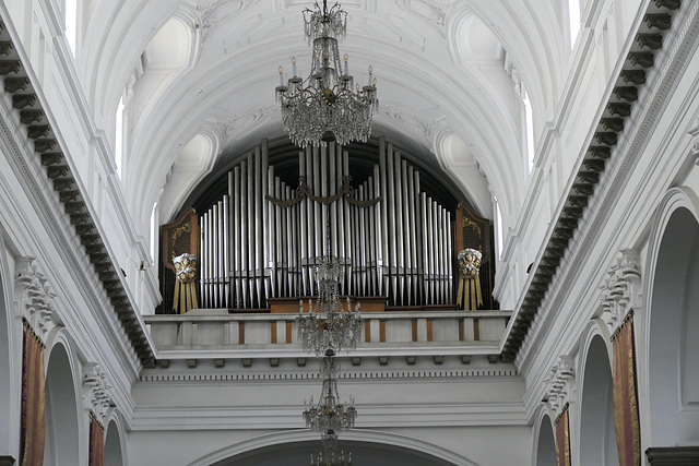 The organ