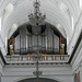 The organ