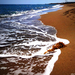 mer agitée, baignade interdite.... ohhhhhhhhhh..!