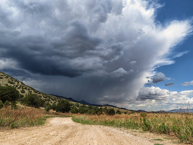 The Huachuca Mountains